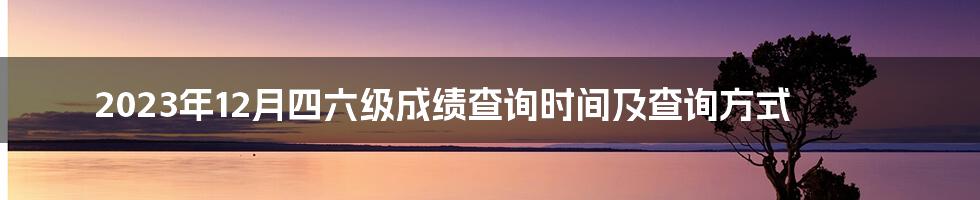 2023年12月四六级成绩查询时间及查询方式