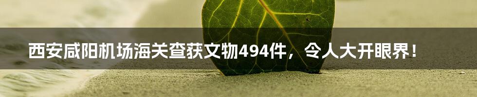 西安咸阳机场海关查获文物494件，令人大开眼界！