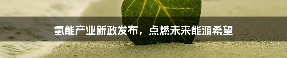 氢能产业新政发布，点燃未来能源希望