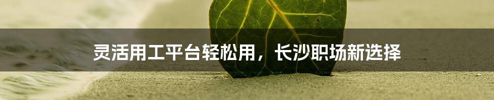 灵活用工平台轻松用，长沙职场新选择