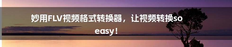 妙用FLV视频格式转换器，让视频转换so easy！