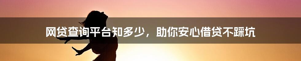 网贷查询平台知多少，助你安心借贷不踩坑