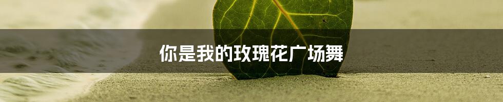 你是我的玫瑰花广场舞