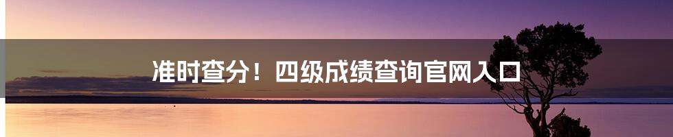 准时查分！四级成绩查询官网入口