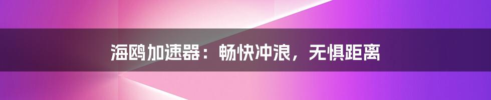 海鸥加速器：畅快冲浪，无惧距离