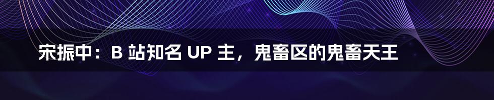 宋振中：B 站知名 UP 主，鬼畜区的鬼畜天王