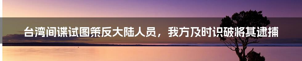 台湾间谍试图策反大陆人员，我方及时识破将其逮捕