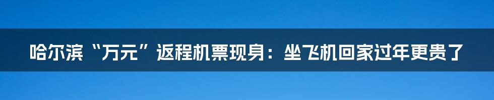 哈尔滨“万元”返程机票现身：坐飞机回家过年更贵了