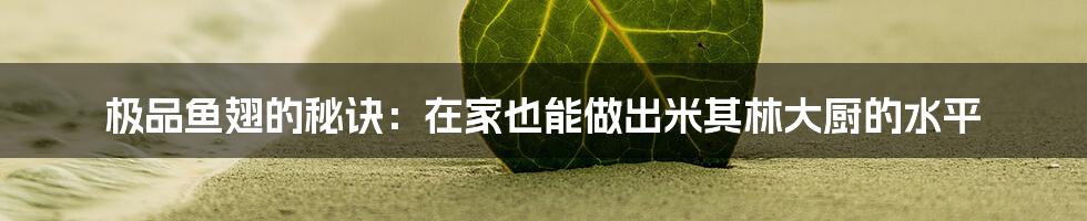 极品鱼翅的秘诀：在家也能做出米其林大厨的水平