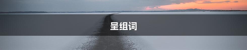 呈组词