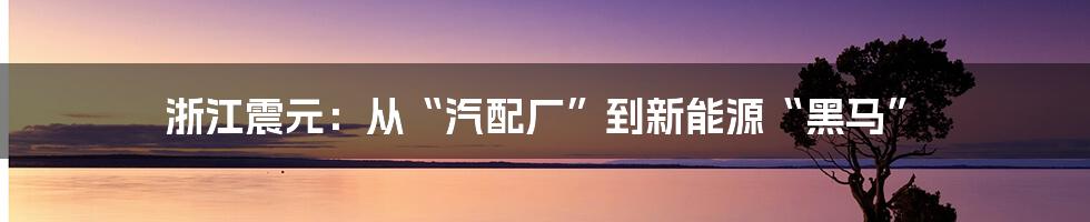 浙江震元：从“汽配厂”到新能源“黑马”