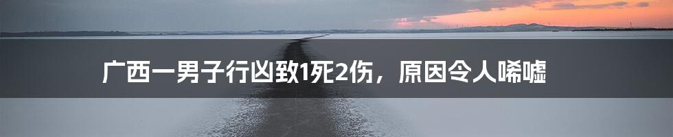 广西一男子行凶致1死2伤，原因令人唏嘘