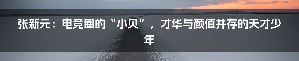 张新元：电竞圈的“小贝”，才华与颜值并存的天才少年