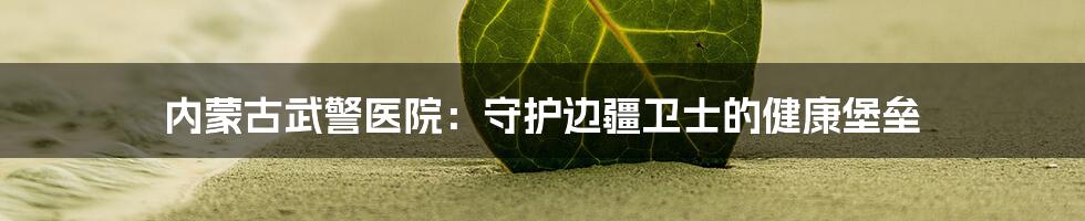 内蒙古武警医院：守护边疆卫士的健康堡垒