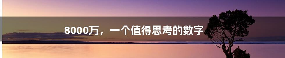 8000万，一个值得思考的数字