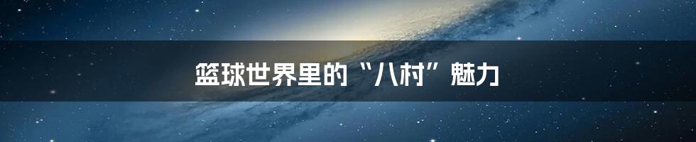 篮球世界里的“八村”魅力