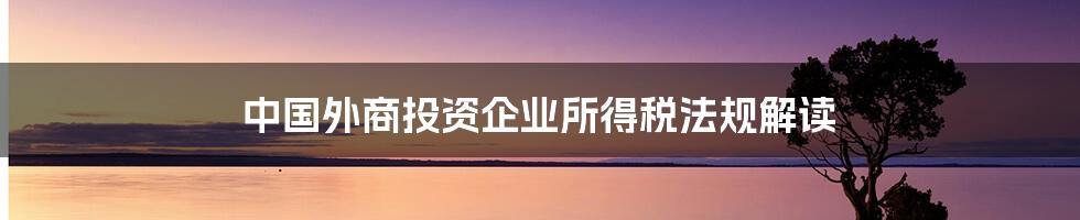 中国外商投资企业所得税法规解读