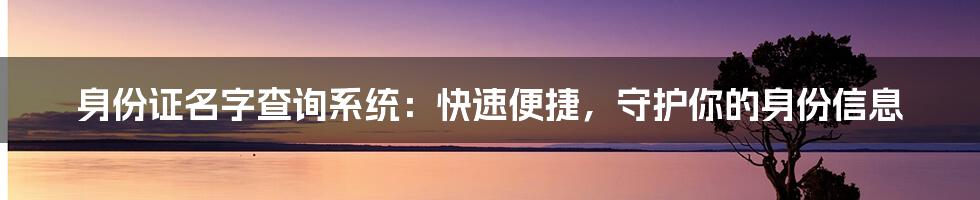 身份证名字查询系统：快速便捷，守护你的身份信息