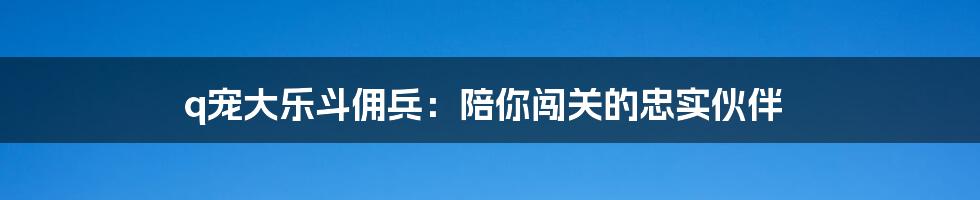 q宠大乐斗佣兵：陪你闯关的忠实伙伴