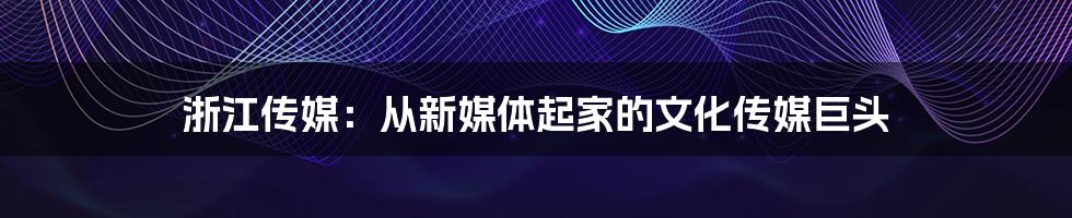 浙江传媒：从新媒体起家的文化传媒巨头