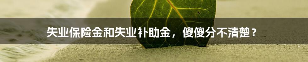 失业保险金和失业补助金，傻傻分不清楚？