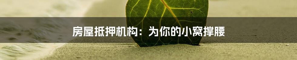 房屋抵押机构：为你的小窝撑腰