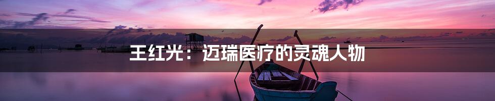 王红光：迈瑞医疗的灵魂人物