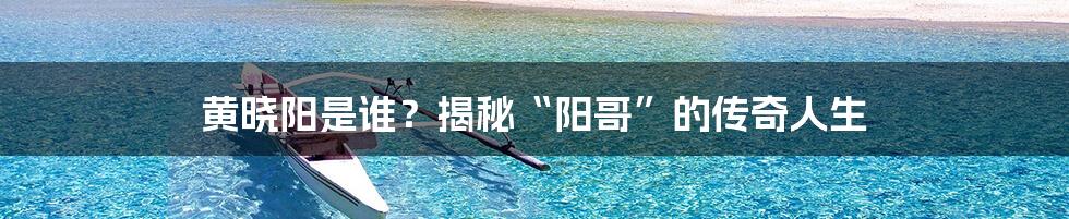 黄晓阳是谁？揭秘“阳哥”的传奇人生