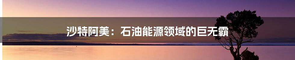 沙特阿美：石油能源领域的巨无霸