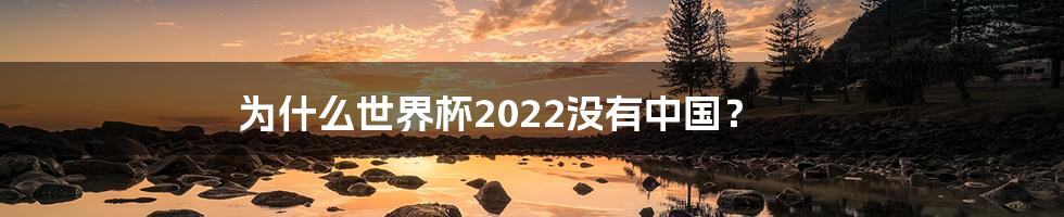 为什么世界杯2022没有中国？