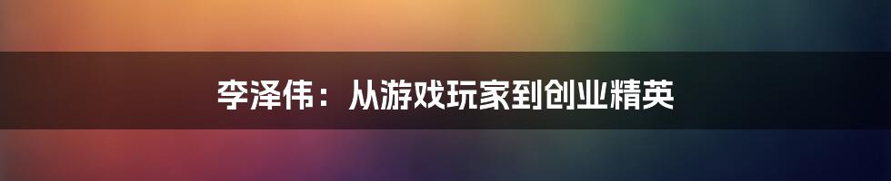 李泽伟：从游戏玩家到创业精英