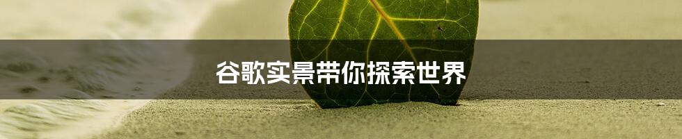 谷歌实景带你探索世界