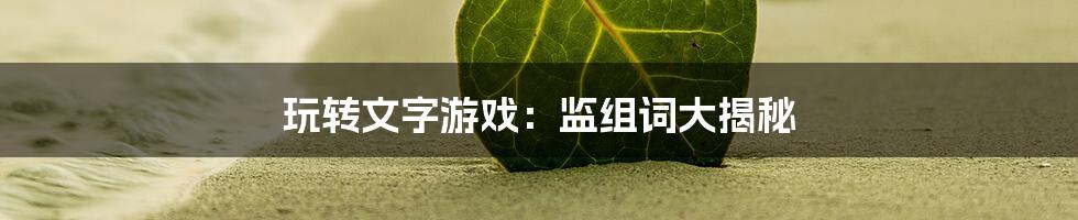 玩转文字游戏：监组词大揭秘