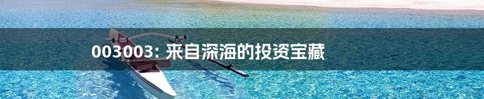 003003: 来自深海的投资宝藏