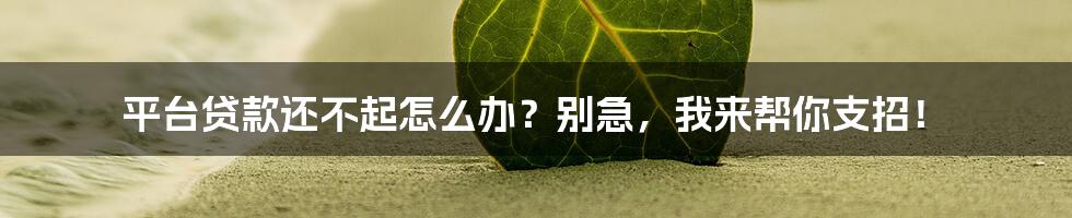 平台贷款还不起怎么办？别急，我来帮你支招！