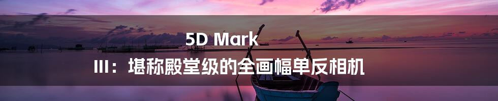 5D Mark III：堪称殿堂级的全画幅单反相机