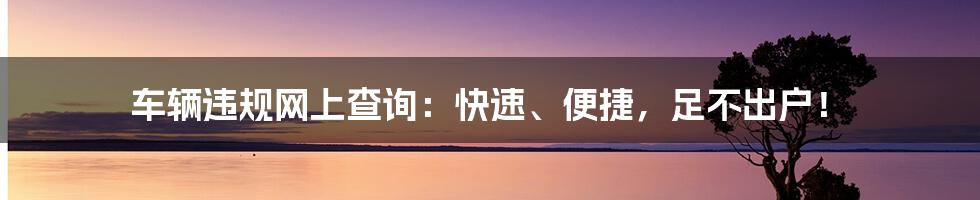 车辆违规网上查询：快速、便捷，足不出户！