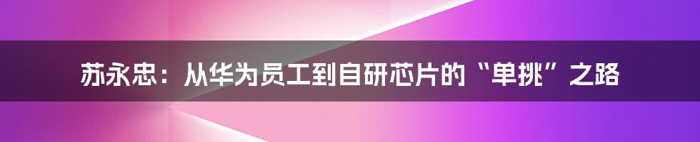 苏永忠：从华为员工到自研芯片的“单挑”之路