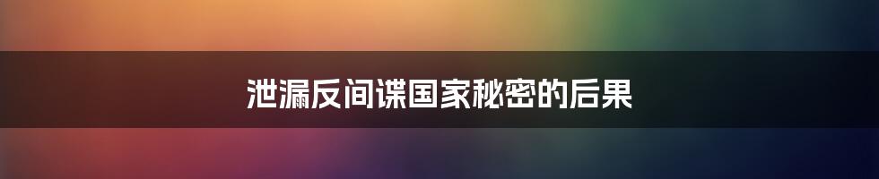 泄漏反间谍国家秘密的后果