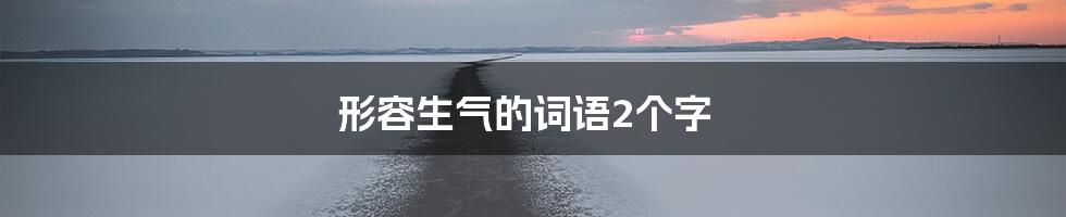 形容生气的词语2个字