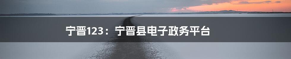 宁晋123：宁晋县电子政务平台