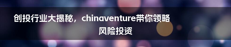 创投行业大揭秘，chinaventure带你领略风险投资