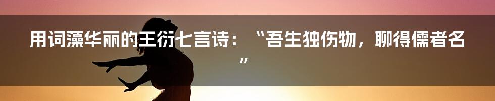 用词藻华丽的王衍七言诗：“吾生独伤物，聊得儒者名”