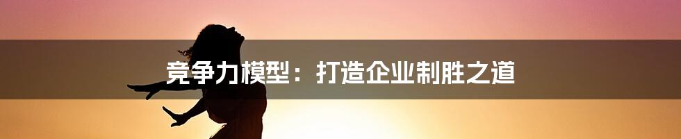 竞争力模型：打造企业制胜之道