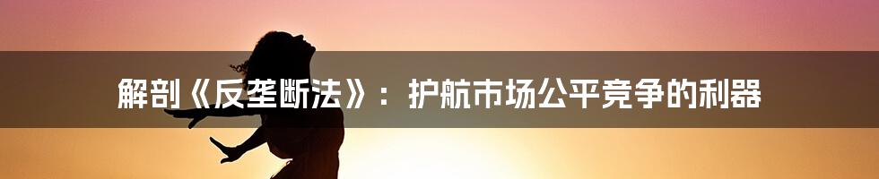 解剖《反垄断法》：护航市场公平竞争的利器