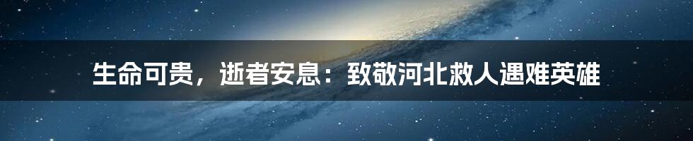 生命可贵，逝者安息：致敬河北救人遇难英雄