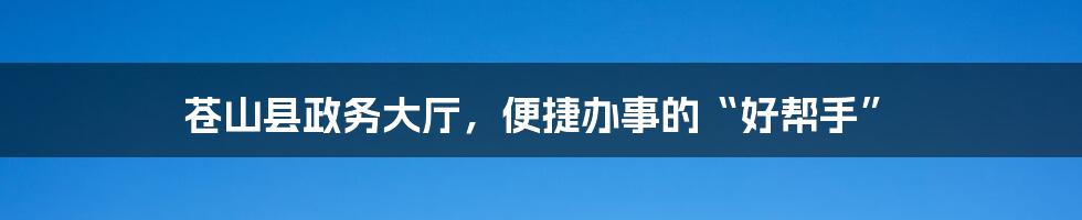 苍山县政务大厅，便捷办事的“好帮手”