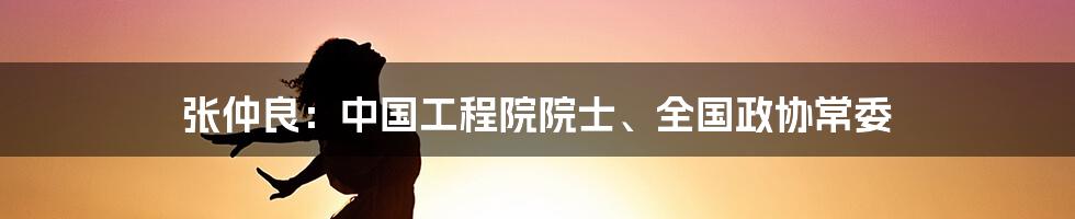 张仲良：中国工程院院士、全国政协常委