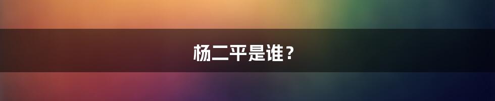 杨二平是谁？