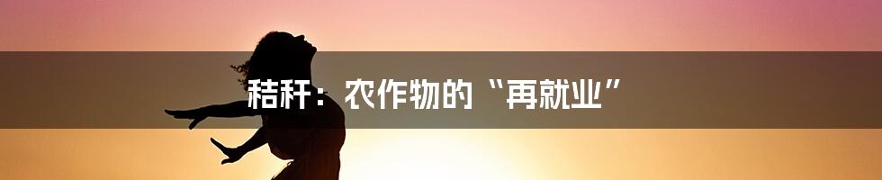 秸秆：农作物的“再就业”